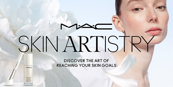 SKIN ARTISTRY